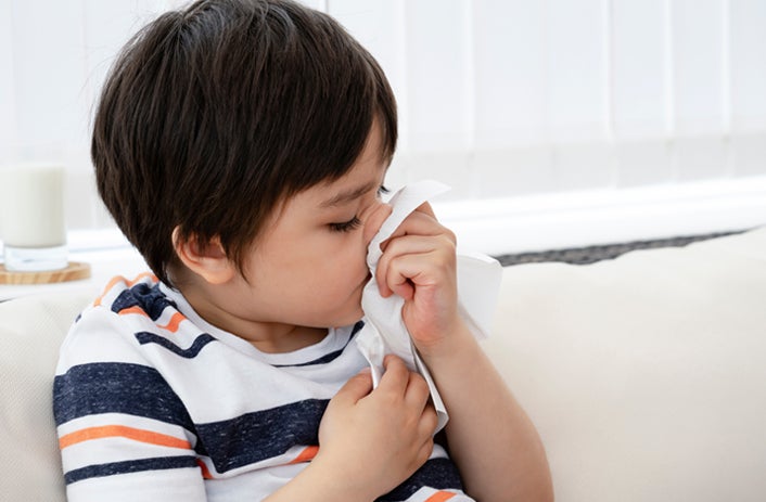 House Dust Mite Induced Allergic Rhinitis